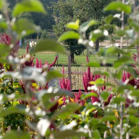 Ferienwohnung Mohnblume Pulzig Exteriér fotografie
