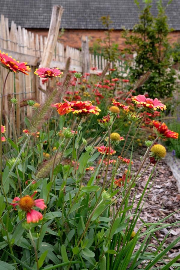 Ferienwohnung Mohnblume Pulzig Exteriér fotografie